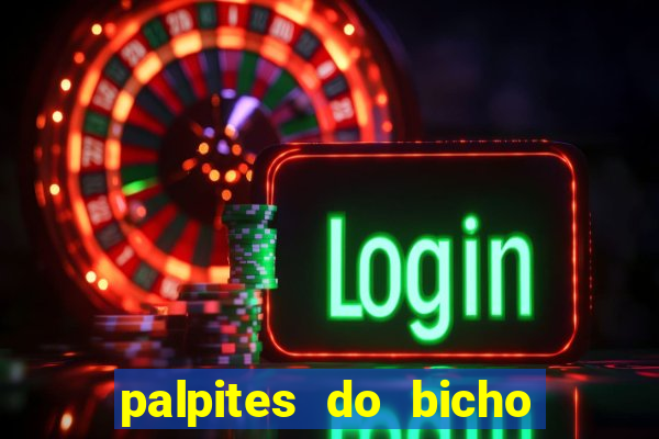 palpites do bicho no celular